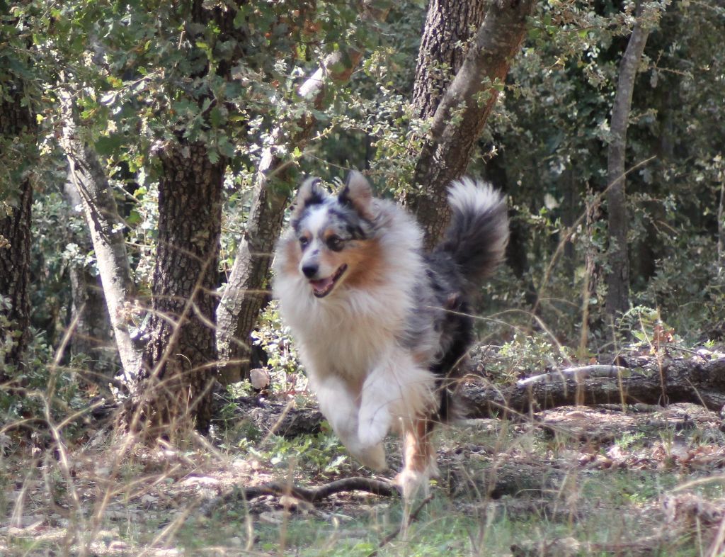 Lucky luck des Garrigues de la Nerthe