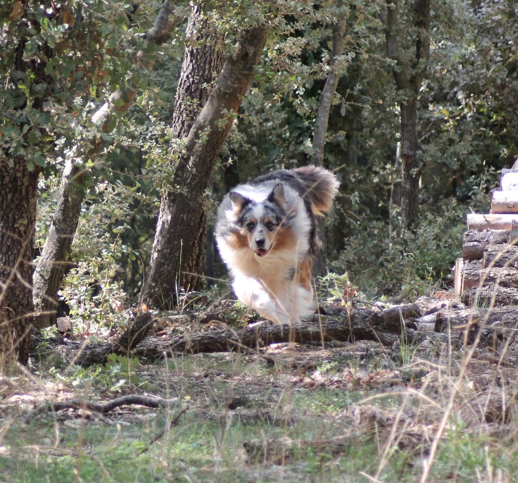 Lucky luck des Garrigues de la Nerthe