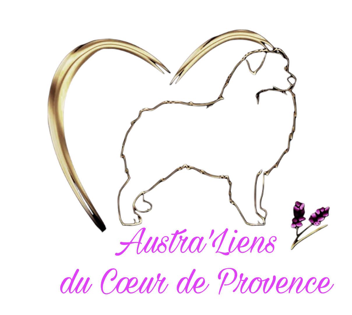 Des Austra'liens Du Coeur De Provence